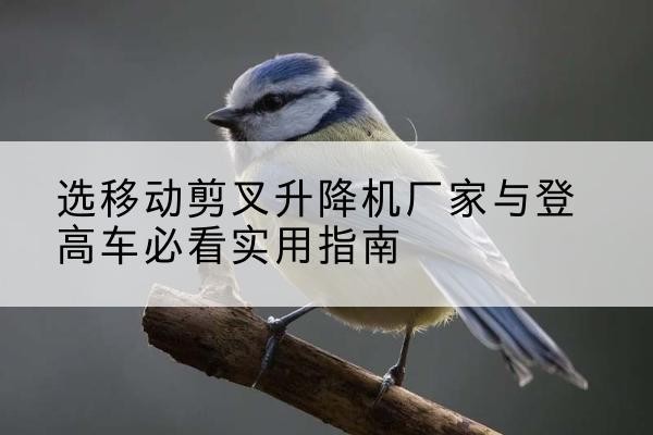 定海电动升降机厂家-选移动剪叉升降机厂家与登高车必看实用指南