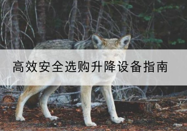 定海升降货梯厂家推荐-*安全选购升降设备指南